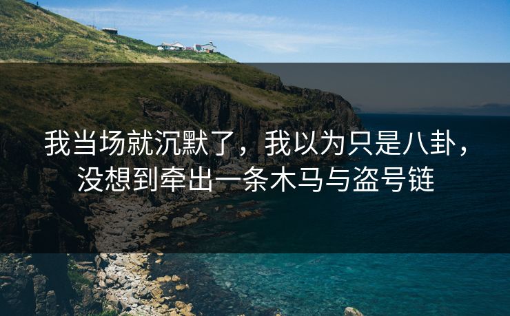 我当场就沉默了,我以为只是八卦,没想到牵出一条木马与盗号链