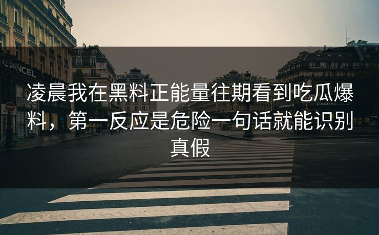 凌晨我在黑料正能量往期看到吃瓜爆料，第一反应是危险一句话就能识别真假