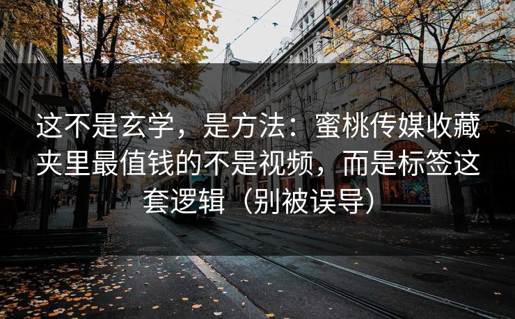 这不是玄学，是方法：蜜桃传媒收藏夹里最值钱的不是视频，而是标签这套逻辑（别被误导）