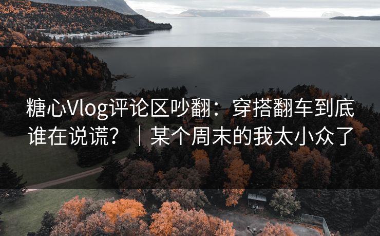 糖心Vlog评论区吵翻：穿搭翻车到底谁在说谎？｜某个周末的我太小众了