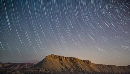 美国z0z0人禽交，美国z00d