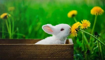 八哥网，八哥网络电视电影高清电视剧垂直收录