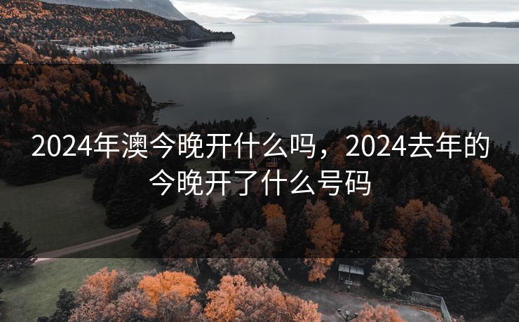2024年澳今晚开什么吗，2024去年的今晚开了什么号码